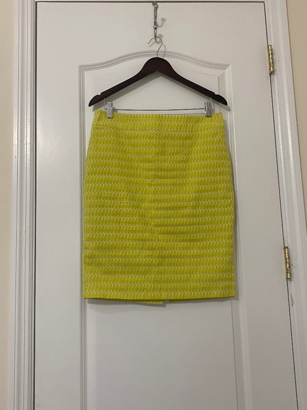 Ann Taylor Skirt